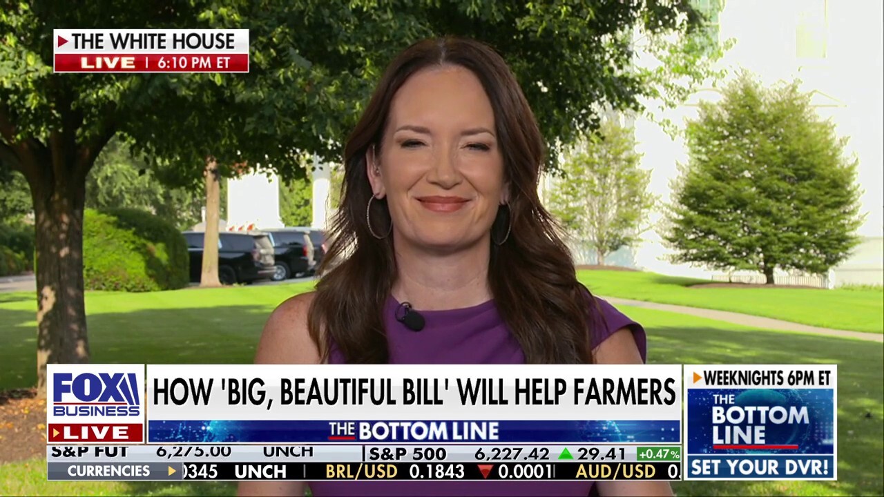 Agriculture Secretary Brooke Rollins discusses President Donald Trump's trade deal with Vietnam and how the 'big, beautiful bill' will help American farmers on 'The Bottom Line.'