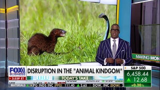Charles Payne: This really seems 'improbable' to me  - Fox Business Video