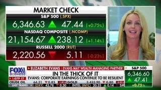 Wealth advisor reveals which sector 'absolutely crushed it' on revenue - Fox Business Video