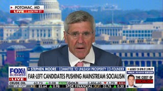If Zohran Mamdani is elected, Wall Street will be lost, ex-Trump economic adviser warns - Fox Business Video